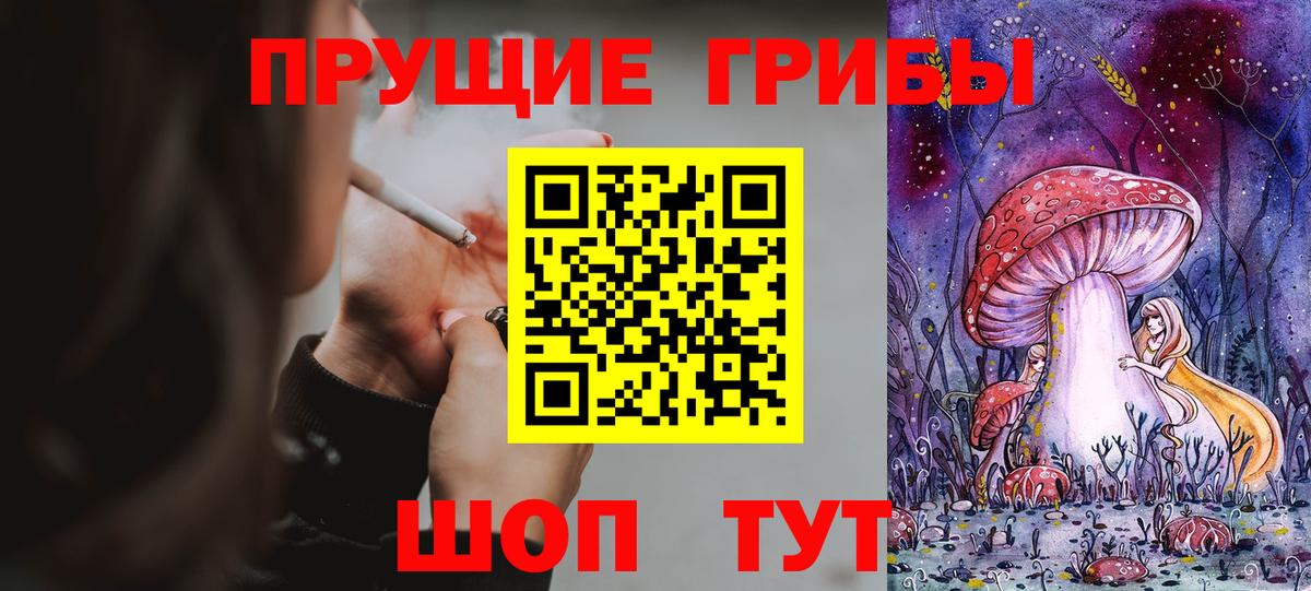 Качканар  Галлюциногенные грибы Magic Shrooms  Вход с VPN  Псилоцибиновые грибы прущие грибы 