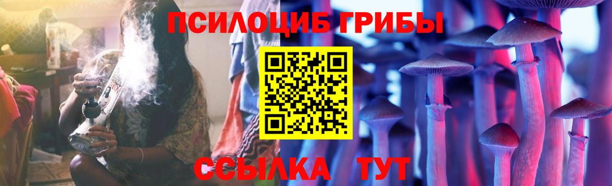 Псилоцибиновые грибы MAGIC MUSHROOMS Качканар